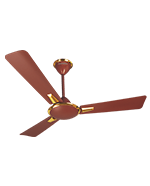Ceiling Fans